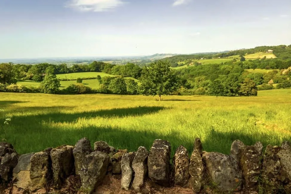 Green Cotswold fields behind a dry stone wall